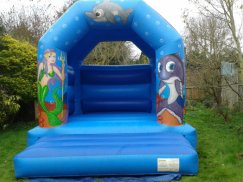 Princess Bouncy Castle (12 x 14)